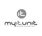 it-unit